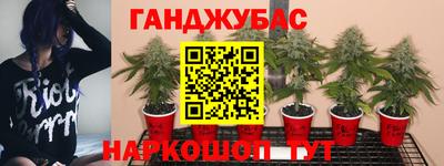 наркотики Бузулук