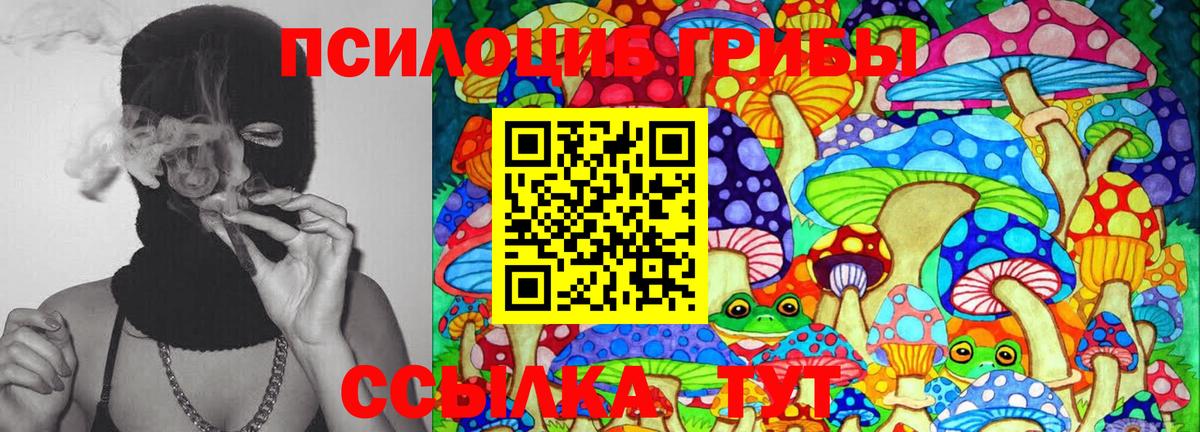 Галлюциногенные грибы Psilocybe Арсеньев